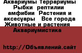 Аквариумы.Террариумы.Рыбки, рептилии, амфибии. Растения и аксесуары - Все города Животные и растения » Аквариумистика   